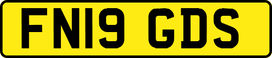 FN19GDS