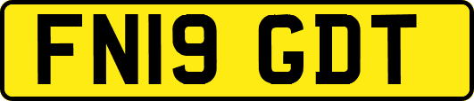 FN19GDT