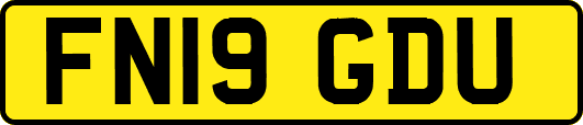 FN19GDU