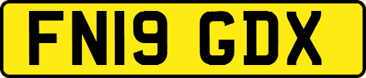 FN19GDX