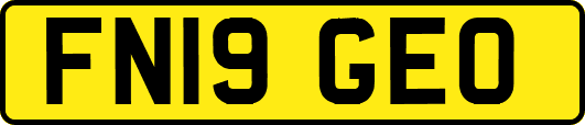 FN19GEO