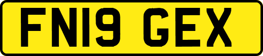 FN19GEX