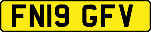 FN19GFV