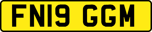 FN19GGM