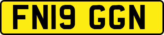FN19GGN