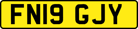 FN19GJY