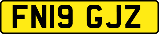 FN19GJZ