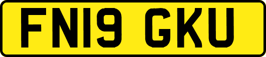 FN19GKU