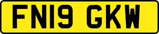 FN19GKW