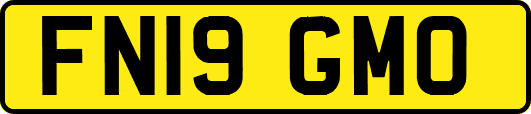 FN19GMO