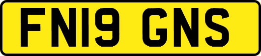 FN19GNS