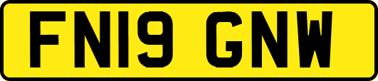 FN19GNW