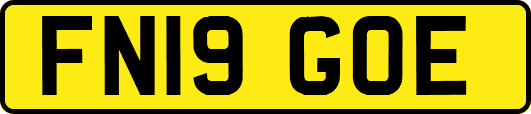 FN19GOE