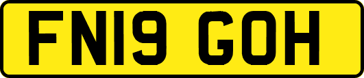 FN19GOH