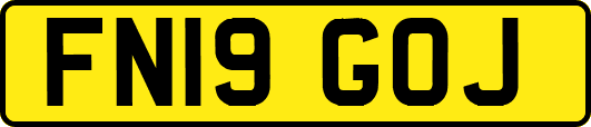 FN19GOJ