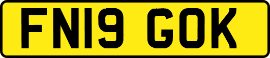FN19GOK