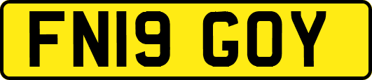FN19GOY
