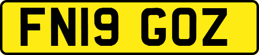 FN19GOZ