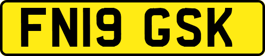FN19GSK