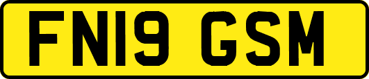 FN19GSM