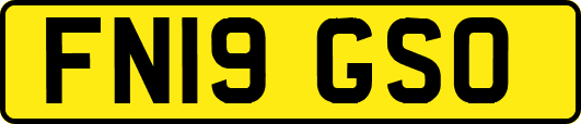 FN19GSO