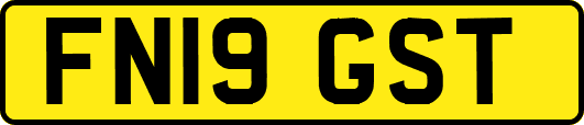 FN19GST