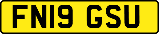 FN19GSU