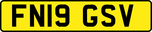 FN19GSV