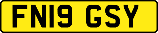 FN19GSY