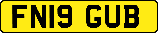 FN19GUB