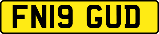 FN19GUD