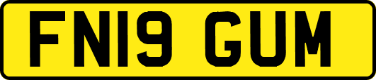 FN19GUM