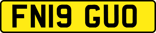 FN19GUO