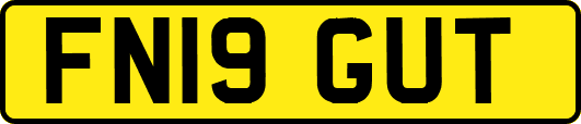 FN19GUT