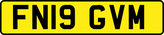 FN19GVM