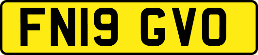 FN19GVO