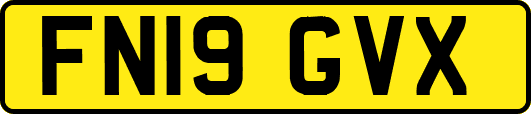 FN19GVX