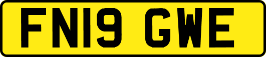FN19GWE