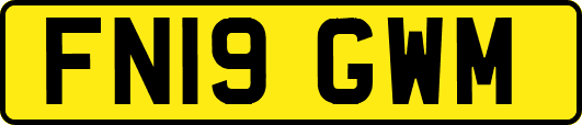 FN19GWM