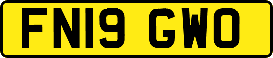 FN19GWO
