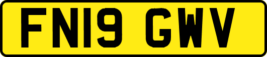 FN19GWV
