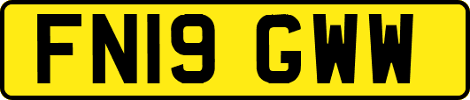 FN19GWW