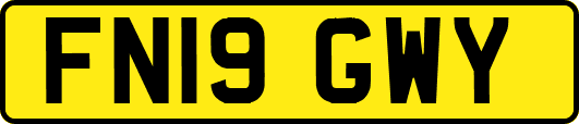 FN19GWY