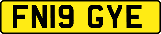 FN19GYE