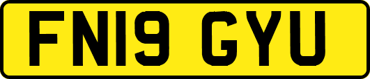 FN19GYU