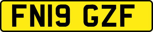 FN19GZF