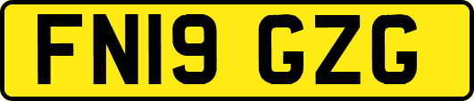 FN19GZG