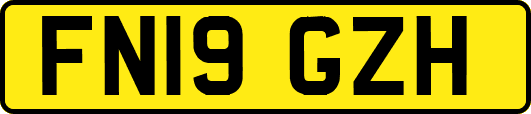 FN19GZH