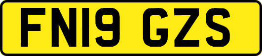 FN19GZS