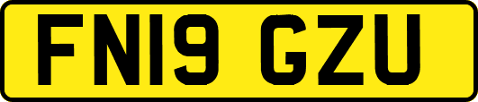FN19GZU